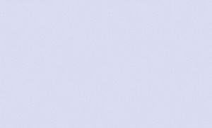 168463-09 Fiore