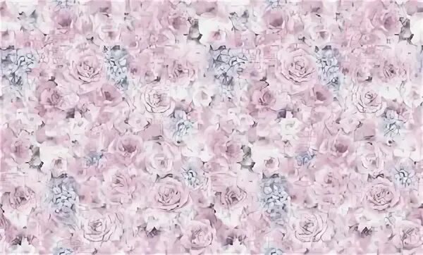 168462-14 Fiore